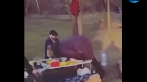 All the heroines are gone funny video full watch