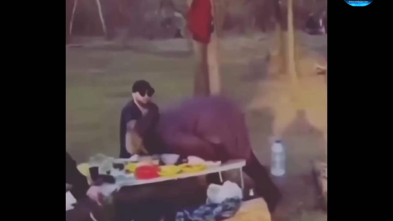 All the heroines are gone funny video full watch