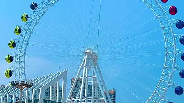 Swamp Grass Ferris Wheel Tiroge