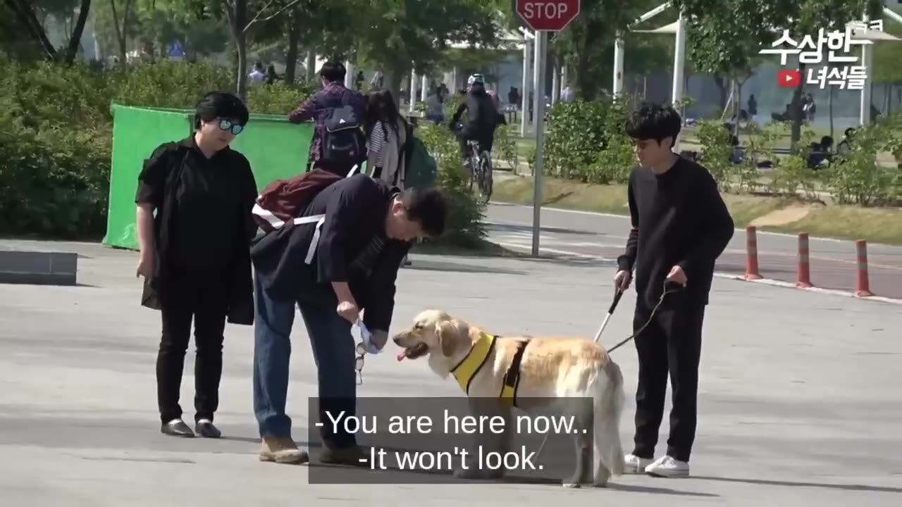 Best Korean Pranks