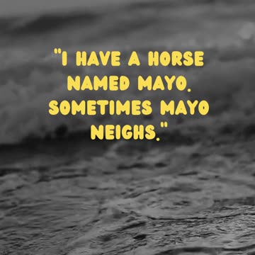 Mayo the Horse: Neighing Name Game (Equine Comedy!)