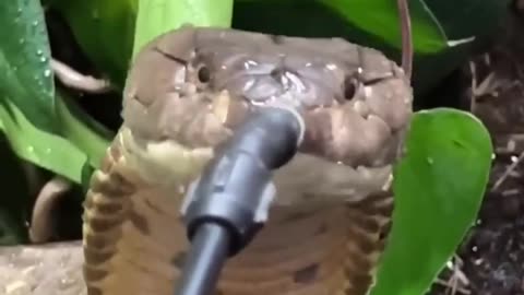 Tout le monde se tient impuissant devant une goutte d'eau