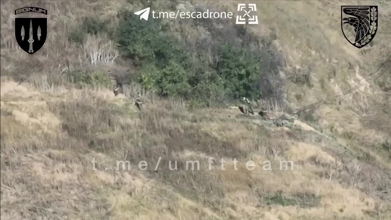 🔥 Ukraine Russia War | Signum Unit's Kamikaze Drone Hits Soldiers | RCF