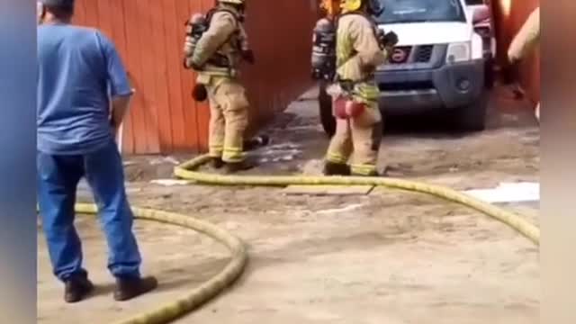 Man ran into fire to save his dog 🔥🔥🔥