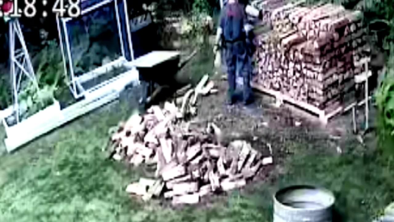 Old Man Stacking Firewood