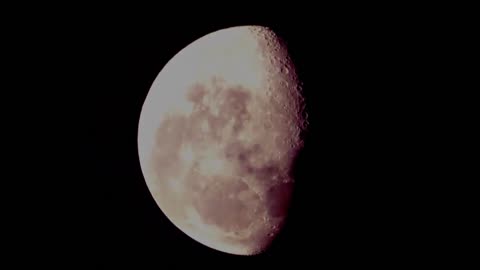 Face and Phases of the Moon