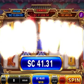 Chumba Wild Whiskers Fun