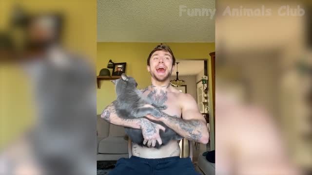 Funny Animals Video