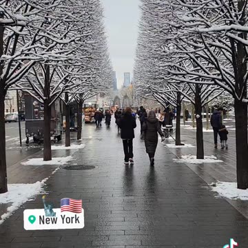 New York City Manhattan America USA Central Park 5th Avenue Street