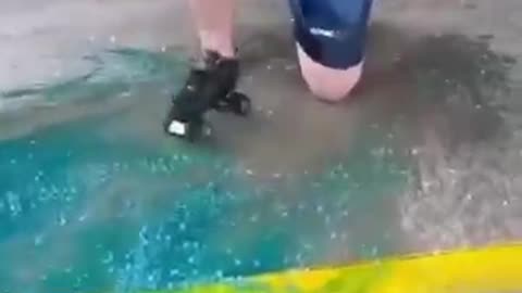 Funny Video