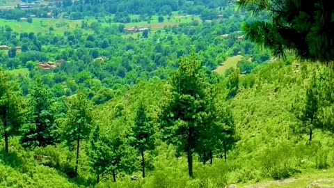 Tirah Valley , Pakistan