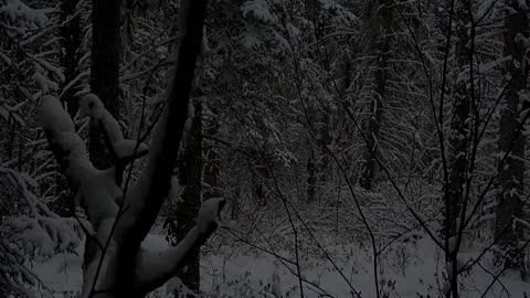 Emergency Snowstorm Survival with a Vehicle Survival Kit