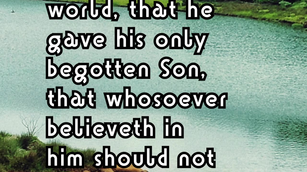 Believe on the Lord Jesus Christ, and thou shalt be saved. - Acts 16:31