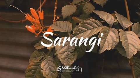 New song 🔥 Sarangi ❤️ by Sushant KC...