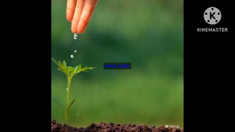 EARTH