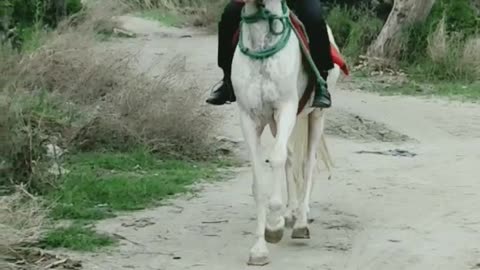 Horse riding