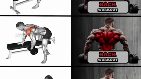 Back Day Power: Build a Stronger, Bigger, and Wider Back with Intense Workouts