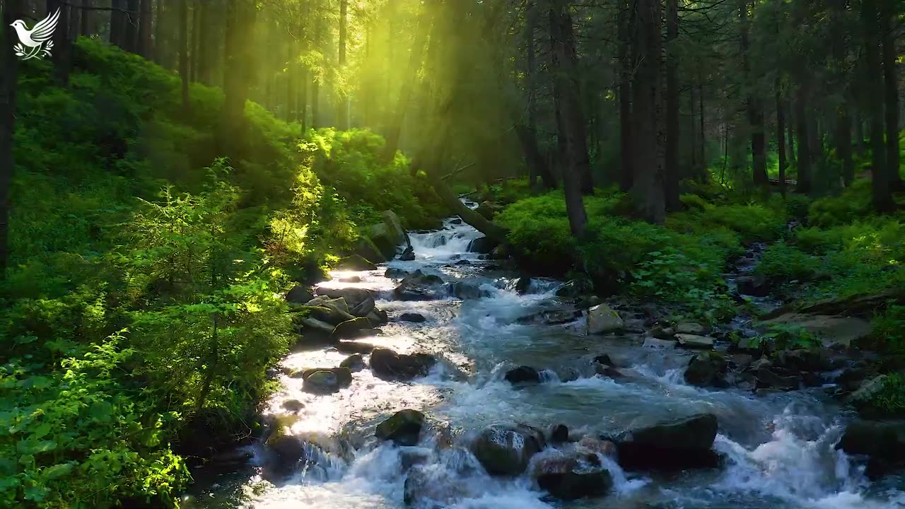 RESTORES THE NERVOUS SYSTEM 🌿 Gentle music soothes the nervous system and heals the soul #8