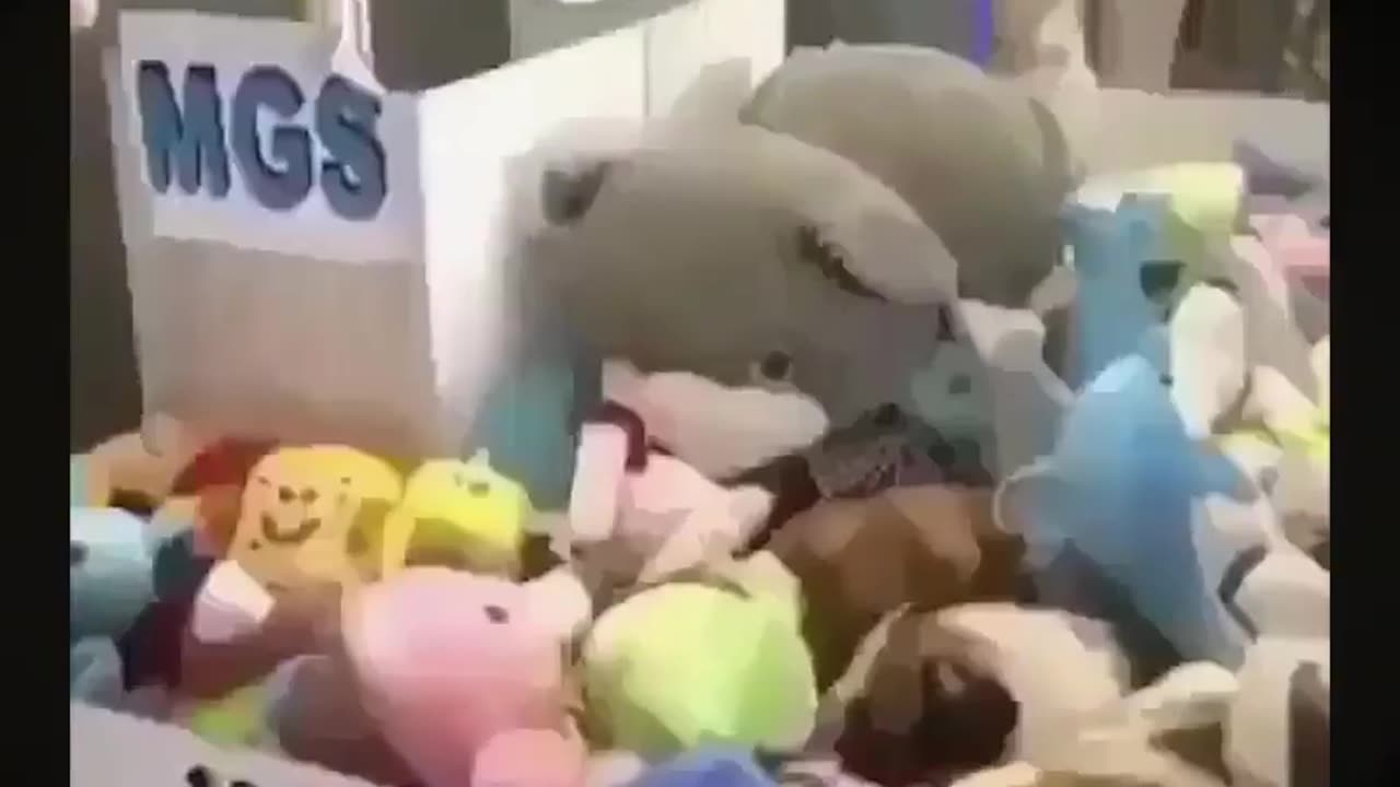 A mail funny videos