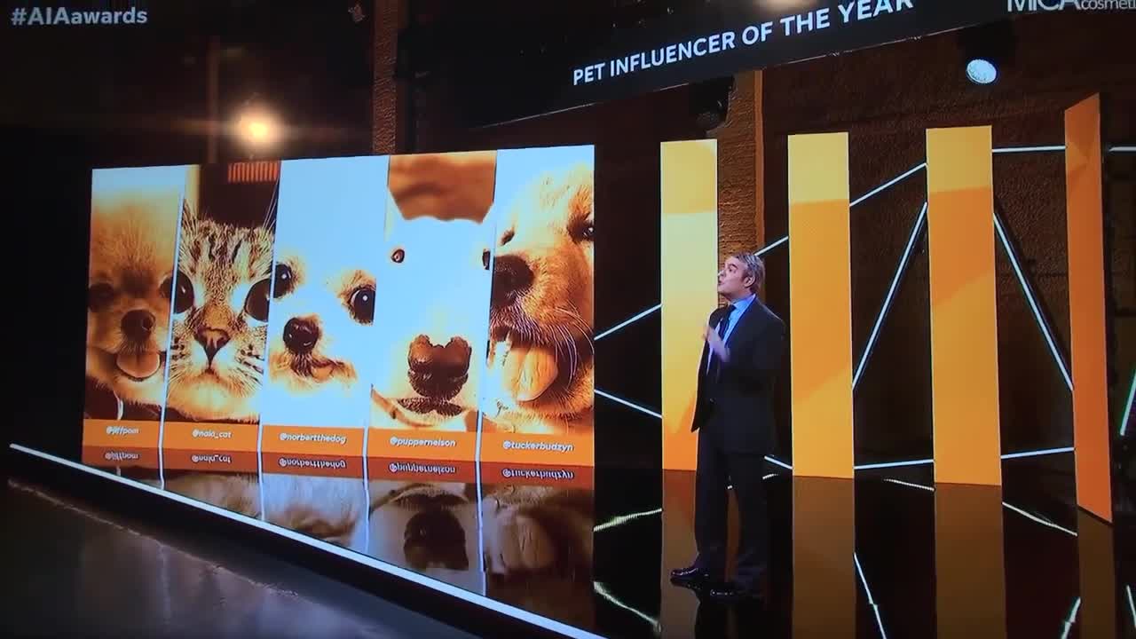 Tucker Budzyn wins the Pets American Influencer Award!