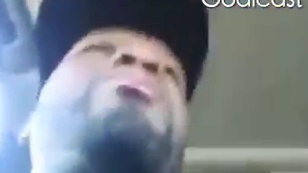 Terry Crews Vs. 50 Cent