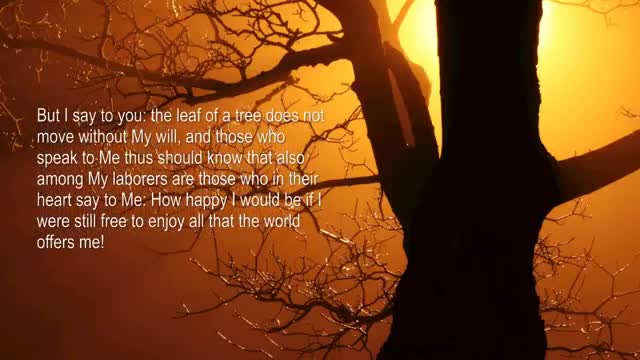 Reaching the Promised Land through your own Merits ❤️ The Book of the true Life Teaching 58