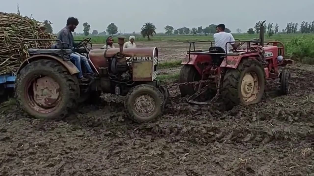 enjoy this tractor and trolli stunt!