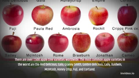 There are over 7,500 apple tree varieties worldwide.