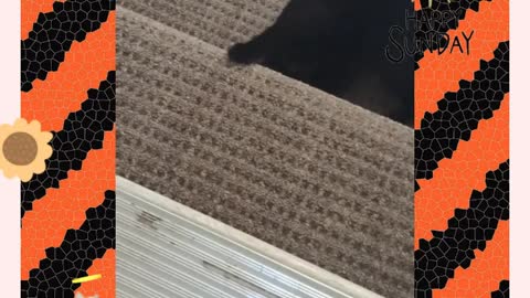 Stair attack....