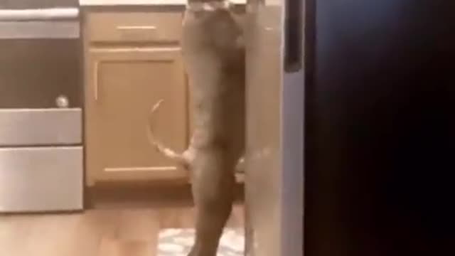If you are caught, just act natural and walk out of the room like nothing happened! 🤣🤣🤣