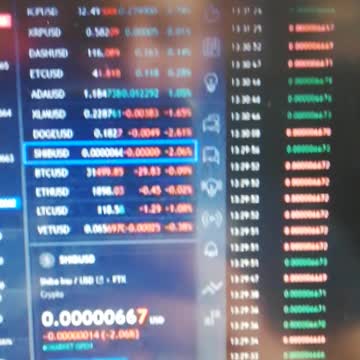 Shiba Shiba 2021 20 topppp