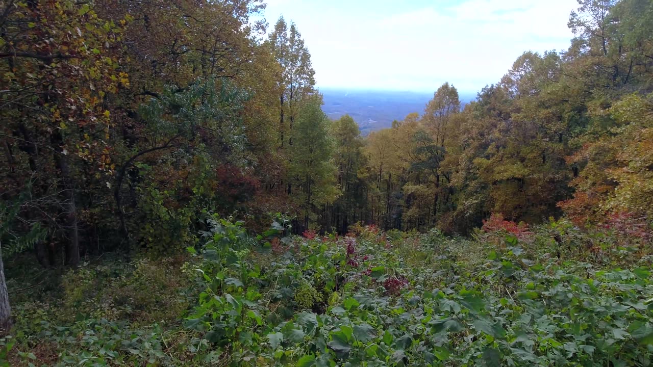 SUCHES GA OVERLOOK!