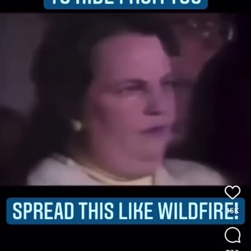 Biden Lies lol courtesy of @theredelephantt on IG