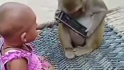 Cute and adorable animal behavior makes anyone happy to see it