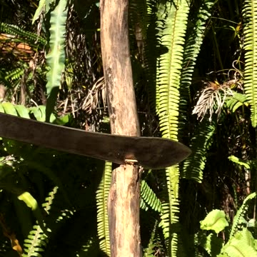 Japanese Machete