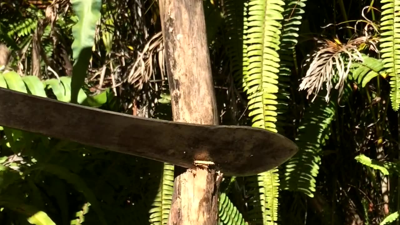 Japanese Machete
