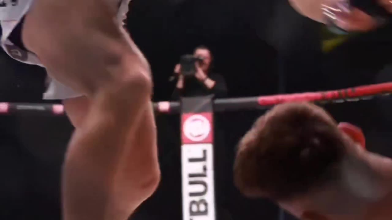 Please stop the fight
