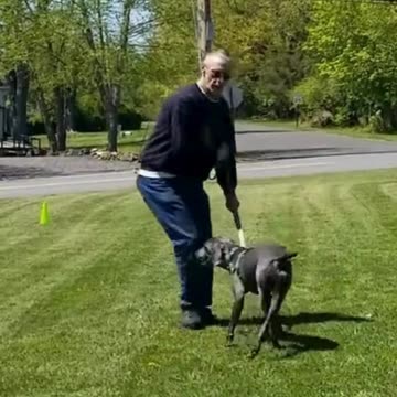 River Heel cue clip 2