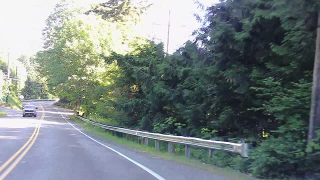 BIGFOOT AT RATTLESNAKE