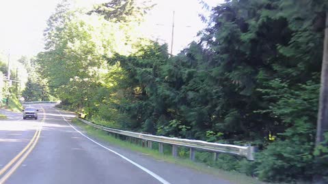 BIGFOOT AT RATTLESNAKE