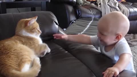 Cat plays with a baby