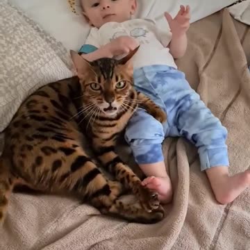 Cat and boy