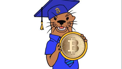 The Bitcoin Otter Show