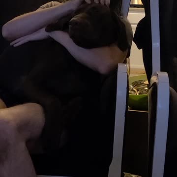 Budderz Wants To Go Outside