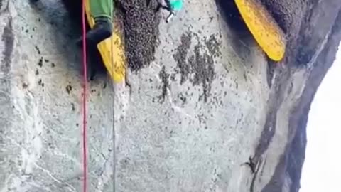 Amazing honey 🍯 to come over and watch the house I