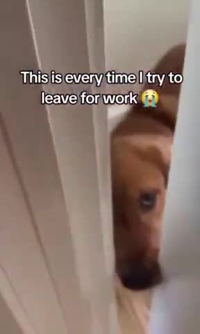 Love how it puts nose in the way 🤣😍😍