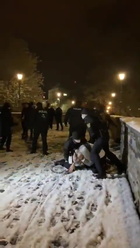 Police in Germany resort to violent beatings