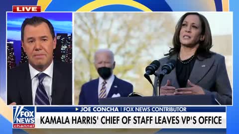 'Kamala Harris is politically toxic': Concha