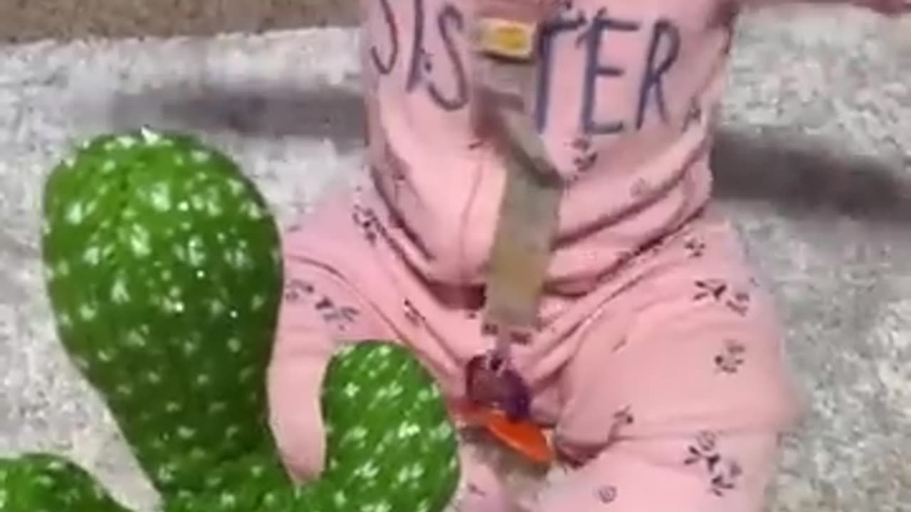 Baby Has in Depth Conversation With Talking Cactus Toy