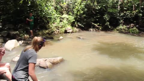 Waterfall hike in Korolevu, Fiji